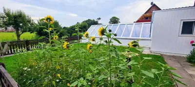 Ein Garten an der Unterkunft Ferienwohnung Sabrina