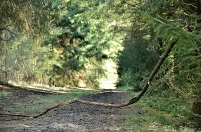 Naturlandschaft in der Nähe des Bed & Breakfasts
