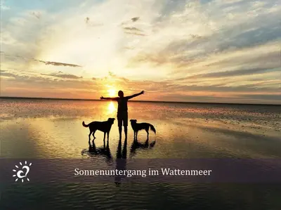 Naturlandschaft in der Nähe der Ferienwohnung