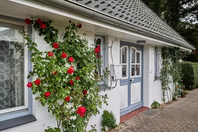 Ein Garten an der Unterkunft Küstenheide