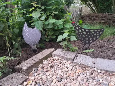 Ein Garten an der Unterkunft Sternenhof Wingst