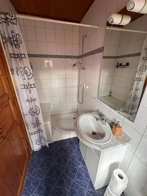 Ein Badezimmer in der Unterkunft Apartment Holzhaus
