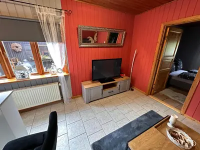 TV/Unterhaltungsangebot in der Unterkunft Apartment Holzhaus