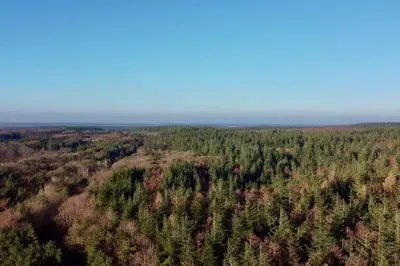 Naturlandschaft in der Nähe des Ferienhauses