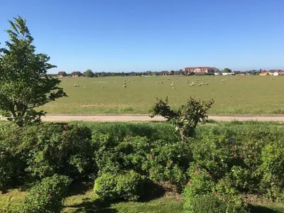 Naturlandschaft in der Nähe des Ferienhauses