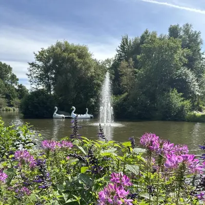 Naturlandschaft in der Nähe der Ferienwohnung