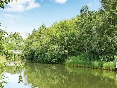 Naturlandschaft in der Nähe des Ferienhauses
