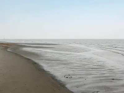 Naturlandschaft in der Nähe des Ferienhauses
