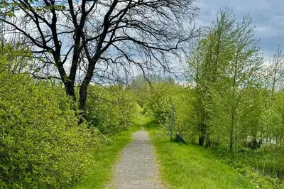Naturlandschaft in der Nähe des Ferienhauses