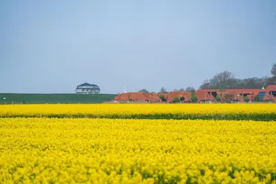 Naturlandschaft in der Nähe der Ferienwohnung