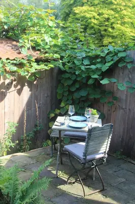 Ein Garten an der Unterkunft Tiny House - Kleines Glück auf dem Ostedeich