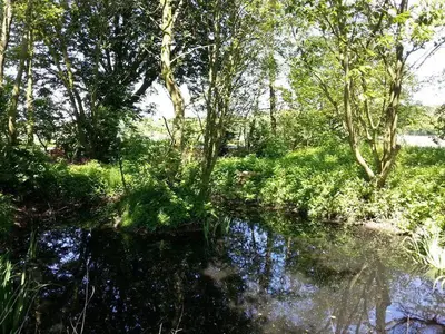 Naturlandschaft in der Nähe der Ferienwohnung