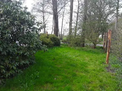 Ein Garten an der Unterkunft Ferienhaus Oppeln 21