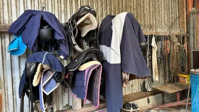 Grundriss der Unterkunft Schilingshof WHG 2
