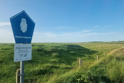 Naturlandschaft in der Nähe der Ferienwohnung