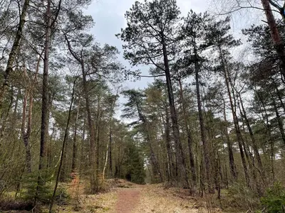 Naturlandschaft in der Nähe der Ferienwohnung