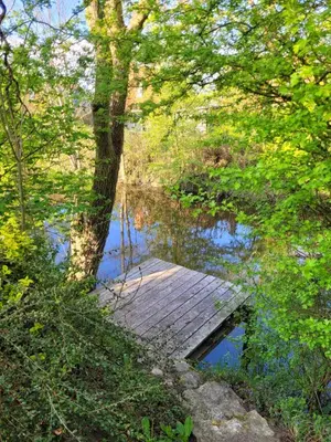 Naturlandschaft in der Nähe des Ferienhauses