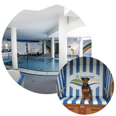 Nordsee direkt Garten Hallenbad und Sauna Strandkorb in der Saison