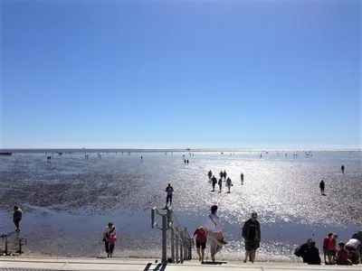 Gäste, die in der Unterkunft Ferienwohnung Auster Büsum übernachten