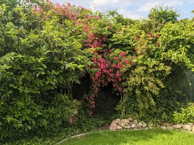 Ein Garten an der Unterkunft Fewo Seestern