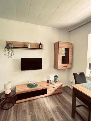 TV/Unterhaltungsangebot in der Unterkunft Apartment 2 - Haus Heinke am Deich