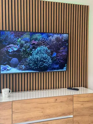 TV/Unterhaltungsangebot in der Unterkunft Saphir - 2