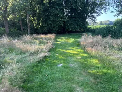 Naturlandschaft in der Nähe of country house