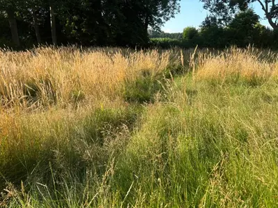 Naturlandschaft in der Nähe des Campingplatzes