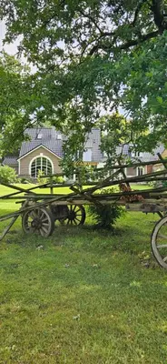 Ein Garten an der Unterkunft Ferienwohnung Drei Eichen