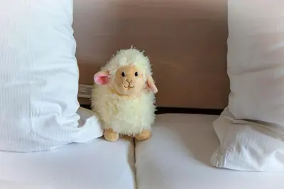 Tiere in der Ferienwohnung oder in der Nähe
