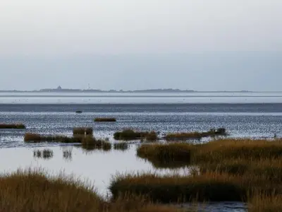 Naturlandschaft in der Nähe des Ferienhauses
