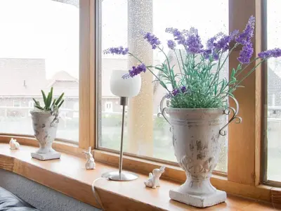 Grundriss der Unterkunft Apartment Moin-Moin in Friedrichskoog-Spitze by Interhome