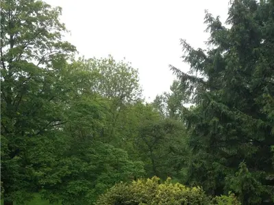 Naturlandschaft in der Nähe des Ferienhauses