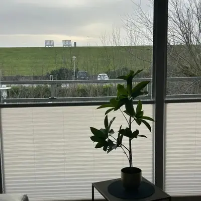 Apartment Deichblick
