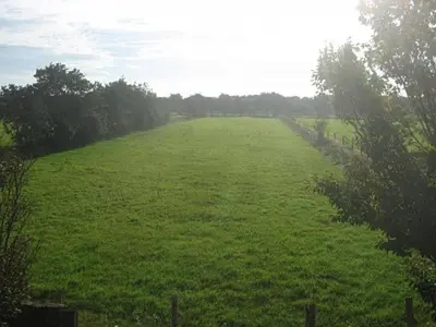 Ein Garten an der Unterkunft Frische Brise
