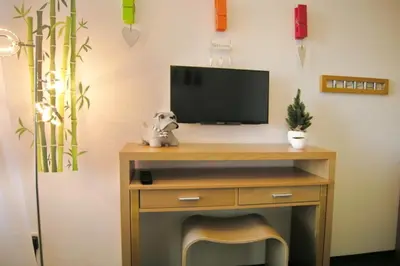TV/Unterhaltungsangebot in der Unterkunft Ferienwohnung De Ööster