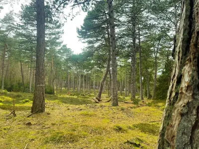 Naturlandschaft in der Nähe des Ferienhauses