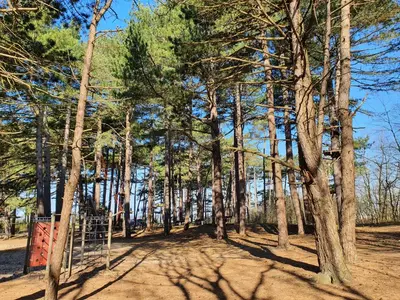 Naturlandschaft in der Nähe der Ferienwohnung