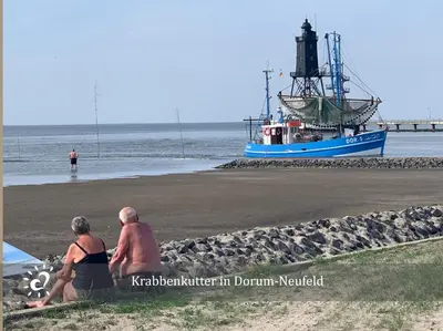 Naturlandschaft in der Nähe der Ferienwohnung