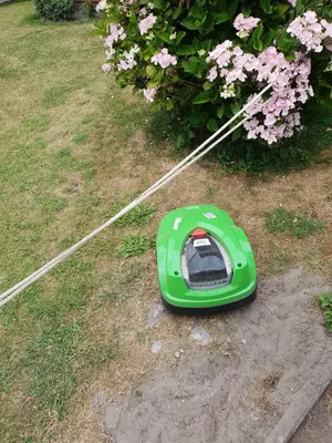 Ein Garten an der Unterkunft westerwarft 10
