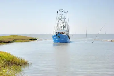 Naturlandschaft in der Nähe des Ferienhauses