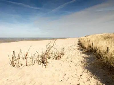 Naturlandschaft in der Nähe der Ferienwohnung