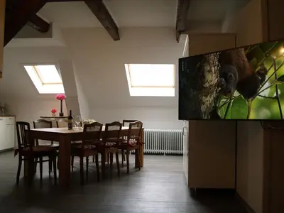 TV/Unterhaltungsangebot in der Unterkunft Schleusenhof Ferienwohnung