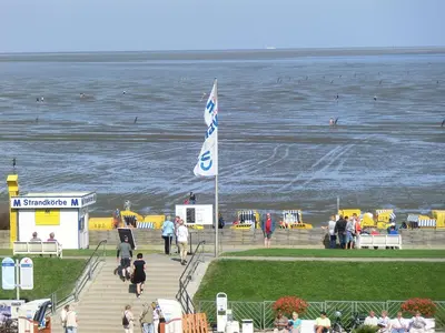 Naturlandschaft in der Nähe der Ferienwohnung