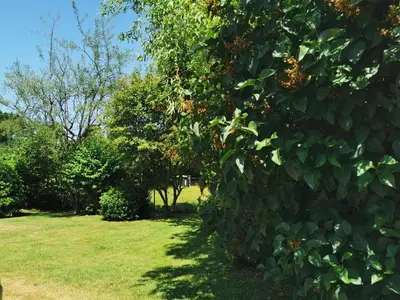 Ein Garten an der Unterkunft Haus Deichvoigt