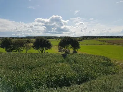 Naturlandschaft in der Nähe der Ferienwohnung