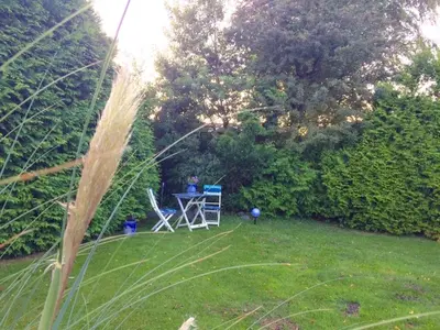 Ein Garten an der Unterkunft Muschelsucher