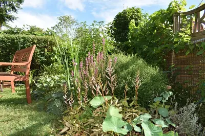 Ein Garten an der Unterkunft Ferienwohnung Osteland