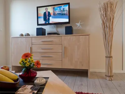 TV/Unterhaltungsangebot in der Unterkunft Appartement Strandstraße 10, Büsum