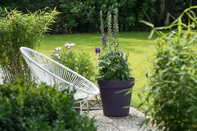 Ein Garten an der Unterkunft NordseeHeide-Lodges Cuxhaven